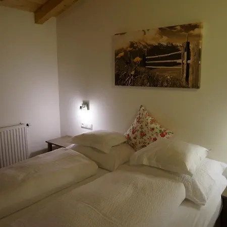 Haus Senoner 4* Kitzbühel